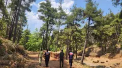 Mersin Jandarması Orman Yangınlarına Karşı Yaz Boyu Denetimde: Dron ve Devriyelerle Önlem! - 33 Mersin - Mersin Son Dakika İnternet Haberleri