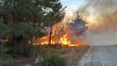 Silifke’de Orman Yangınına Jandarma Müdahalesi! - 33 Mersin - Mersin Son Dakika İnternet Haberleri