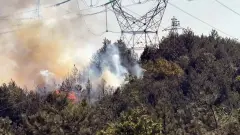 Düzce, Sakarya Sınırında Orman Yangını Paniği! - 33 Mersin - Mersin Son Dakika İnternet Haberleri